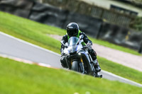 Oulton-Park-21st-March-2020;PJ-Motorsport-Photography-2020;anglesey;brands-hatch;cadwell-park;croft;donington-park;enduro-digital-images;event-digital-images;eventdigitalimages;mallory;no-limits;oulton-park;peter-wileman-photography;racing-digital-images;silverstone;snetterton;trackday-digital-images;trackday-photos;vmcc-banbury-run;welsh-2-day-enduro